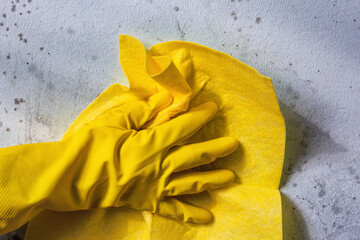 Cleaning the wall from spots of toxic mold and fungus bacteria. Concept of eliminating the problem of mold indoors on the walls