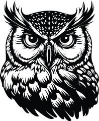  eagle owl head. Birds. Black white hand drawn doodle, Tatoo owl