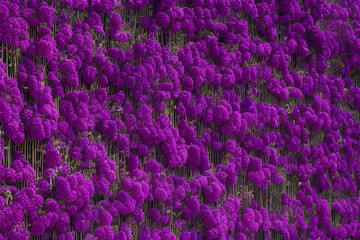 Field of lavender purple flowers - generative AI illustration