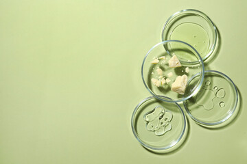 Flat lay composition with Petri dishes on light green background. Space for text