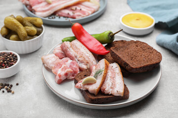 Tasty pork fatback with rye bread and spices on grey table
