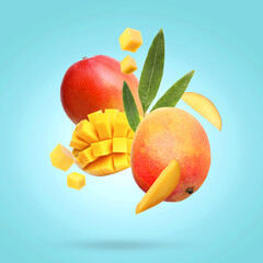 Delicious mango fruits and leaves falling on turquoise background