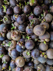 Pile of fresh mangosteen. Mangosteen fruit in market