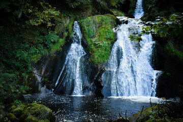 waterfall in the forest