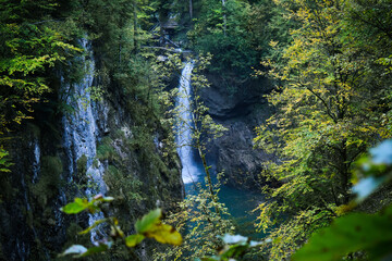 waterfall in the forest