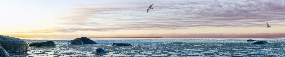 Panoramic view of the shore of the Baltic sea at sunset in winter. Ice fragments in sea close-up....