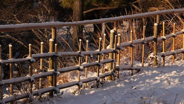 Slow pan over traditional Japanese bamboo fence in snow at golden hour