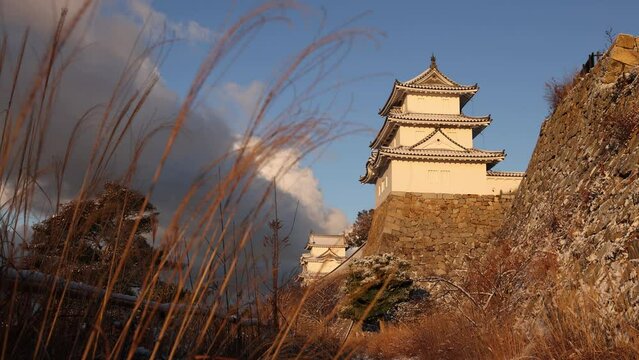 Dry winter grass and Japanese castle atop stone wall in golden light