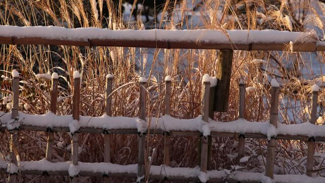 Snow covered traditional bamboo fence and dry winter grass in Japanese park
