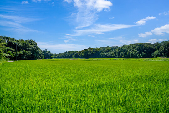 田園風景