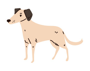dog animal icon