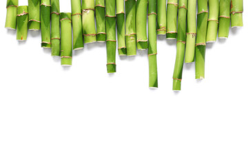 Composition with green bamboo stems on white background
