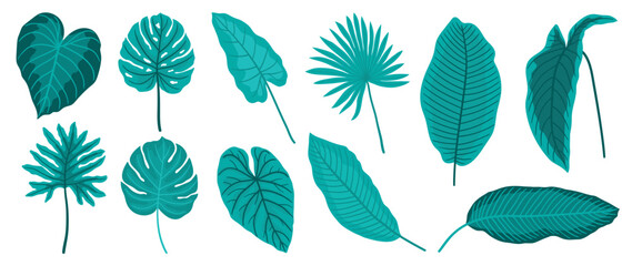 Hand painted tropical leaves vector set. Botanical different type exotic  foliage, jungle plant, monstera and palm leaves isolated on white background. Design for cosmetic, product, spa, decoration.
