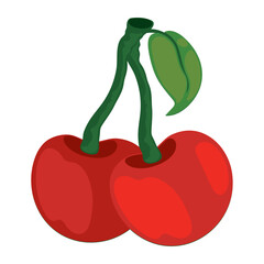 cherry fruit icon