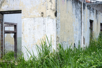Rest of ruined walls from abandoned house.