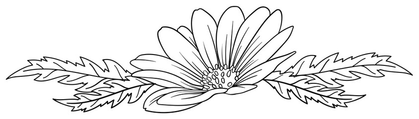 繊細な植物や花のボタニカルライン　ラスター素材
