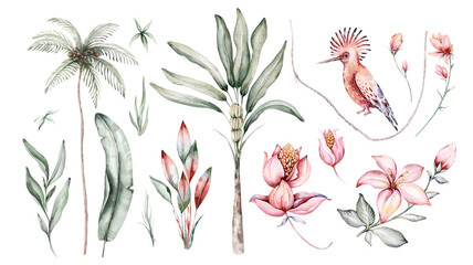 Tropical watercolor set birds hummingbird, monkey and jaguar, exotic jungle plants palm banana leaves flowers, flamingo pastel color seamless fabric background - 565220765