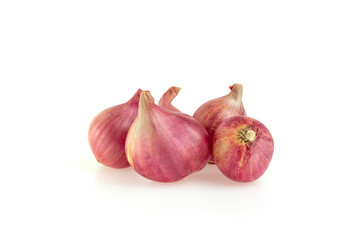 Shallot or red onions isolated on white background.