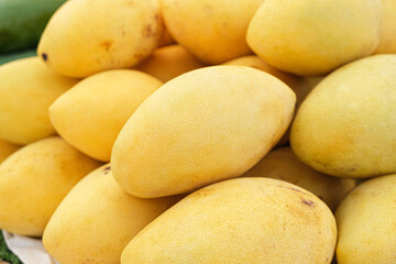 Close-up of fresh yellow mangoes at the fruit market stall. Traditional fruits of Thailand.