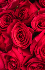 bouquet of roses. Mother day. Decoration. Spring time. 