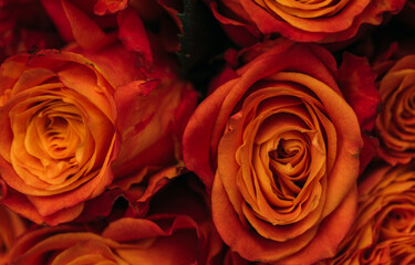 Mother day. Flowers. Concept. Celebration. Card. Photo. Background