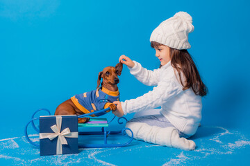 cute little brunette girl in a white knitted hat and sweater is sledding a dachshund dog with gifts on a blue background in the studio, space for text