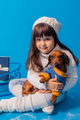 cute little brunette girl in a white knitted hat and sweater is sledding a dachshund dog with gifts on a blue background in the studio, space for text