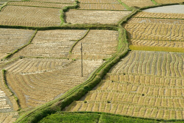 An areal view of fields creates patterns.
