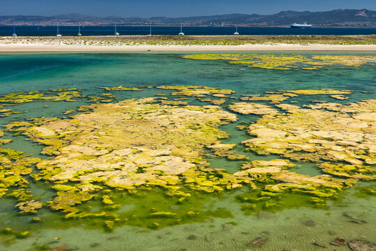 C&Atilde;&shy;es Islands. Islas Atl&Atilde;&iexcl;nticas National Park. Pontevedra province. Spain