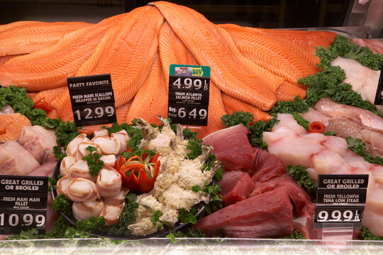 Fresh fish fillets such as salmon, mahi mahi, and yellowfin tuna at a grocery store.