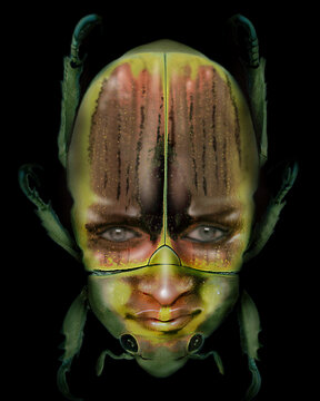 A face on a scarab.