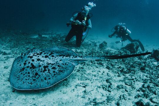 Maldives Atolls in the Indian Ocean