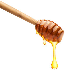 Honey dripping from dipper - 565233599