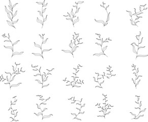 leaf line art