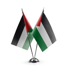 Small national flags of the Palestine on a white background