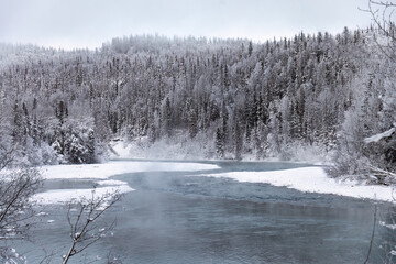 Obraz na płótnie Canvas Alaska river in winter as steam rises along the forest channel