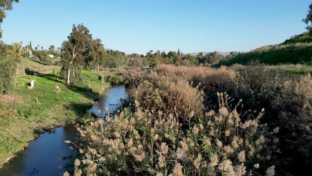 Lash green during the winter- the Jordan river- Yardenit baptism holy Christian site- Religious tourism- Northern Israel