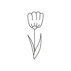 Fototapeta na wymiar Hand drawn illustration of flowers
