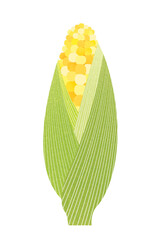 Corn illustration