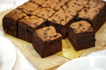 Taiwanese Castella cake. homemade chocolate cake so soft and delicious with ingredient: eggs, cocoa, milk, flour and choco chips sprinkles. bakery concept for background or wallpaper. close up.