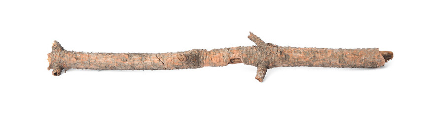 One dry tree twig isolated on white