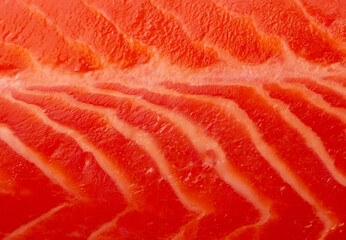 Salmon red fish fillet as a background.