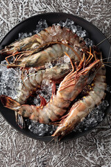  Fresh tiger prawns in a black plate with crushed ice.
