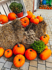 Pumpkins rustic hay decoration outdoors. Stylish autumn decor of exterior building. Rural decor on haystack in street fall harvest Thanksgiving and Halloween holiday.
