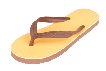 sandals  flip flops color brown isolated on white background