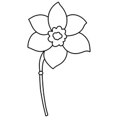 flower, Hand-drawn illustration, Spring season