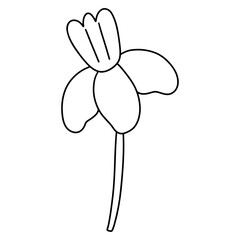 flower, Hand-drawn illustration, Spring season