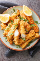 Fried Spanish Squid Rabas Fritas closeup on the plate on the table. Vertical top view from above