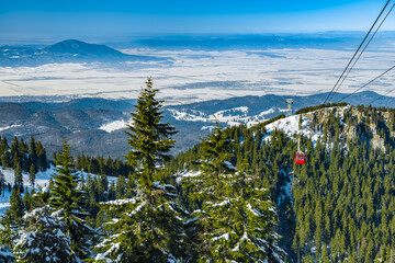 A red cable car climbs above the spruce forests and brings tourists, skiers and snowboarders up to...