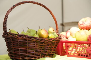 A huge number of fresh apples of different varieties on a big sale